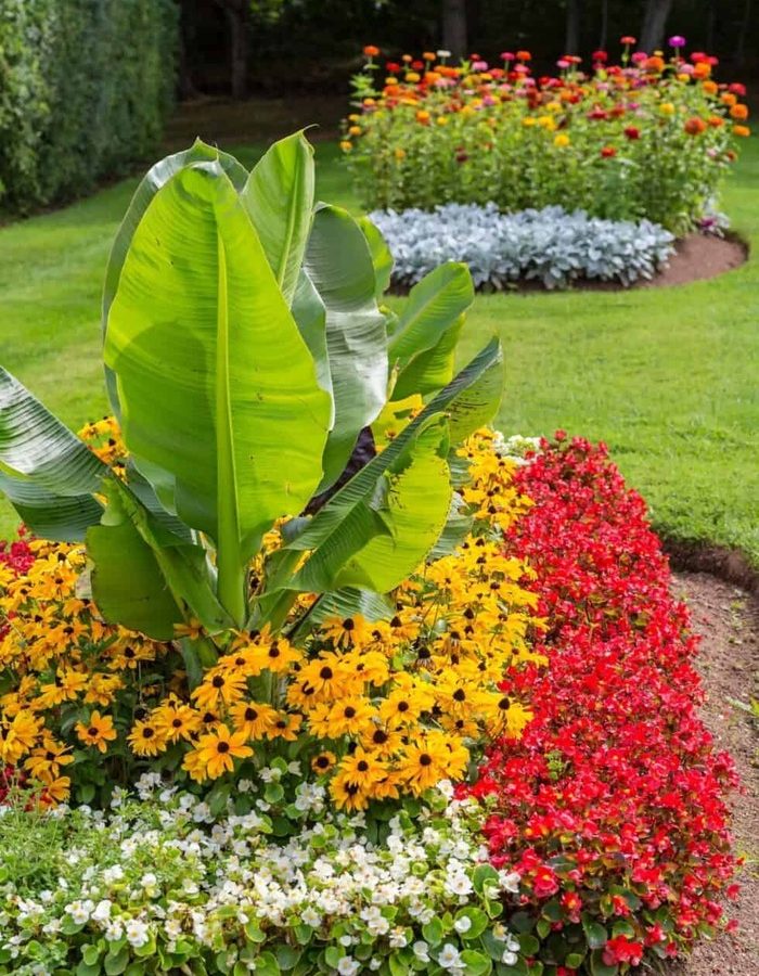 colorful-flower-beds-980x1400